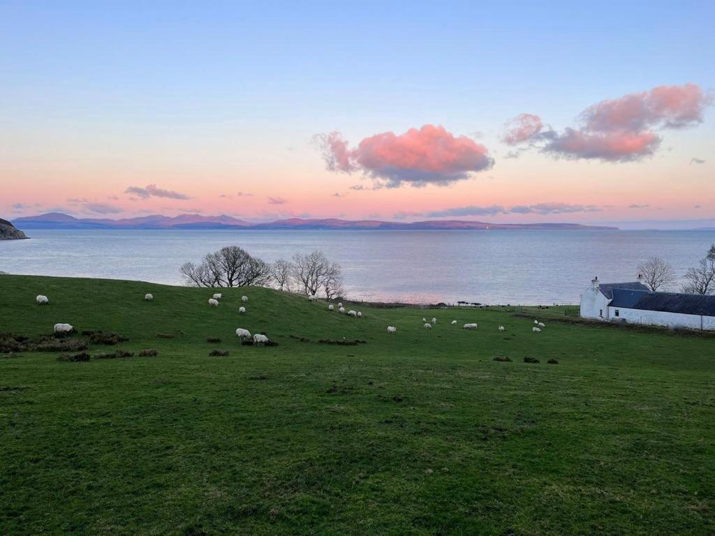 Rural Farmhouse On Kintyre, West Coast Hidden Gem Kildalloig Exteriör bild
